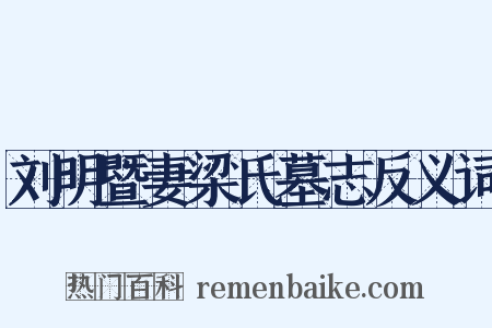 刘明暨妻梁氏墓志反义词是什么意思的图片